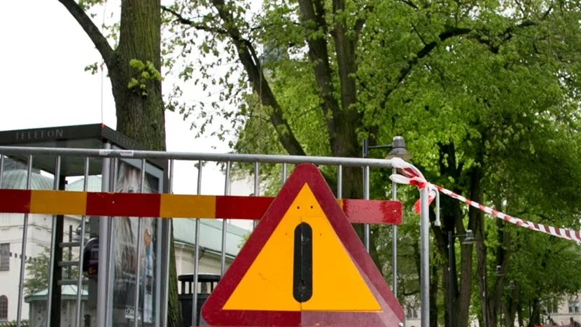 Inga träd i S:t Larsparken ska fällas även om man kan tro det av den här varningsskylten. Det handlar i stället om säkerhetsbeskärning.