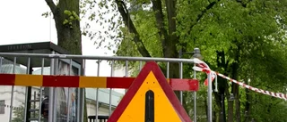 Säkerhetsbeskärning i S:t Larsparken