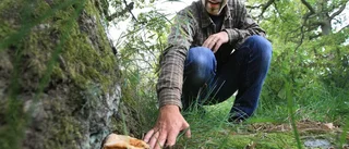 Tinnerö eklandskap har flest rödlistade svampar i landet