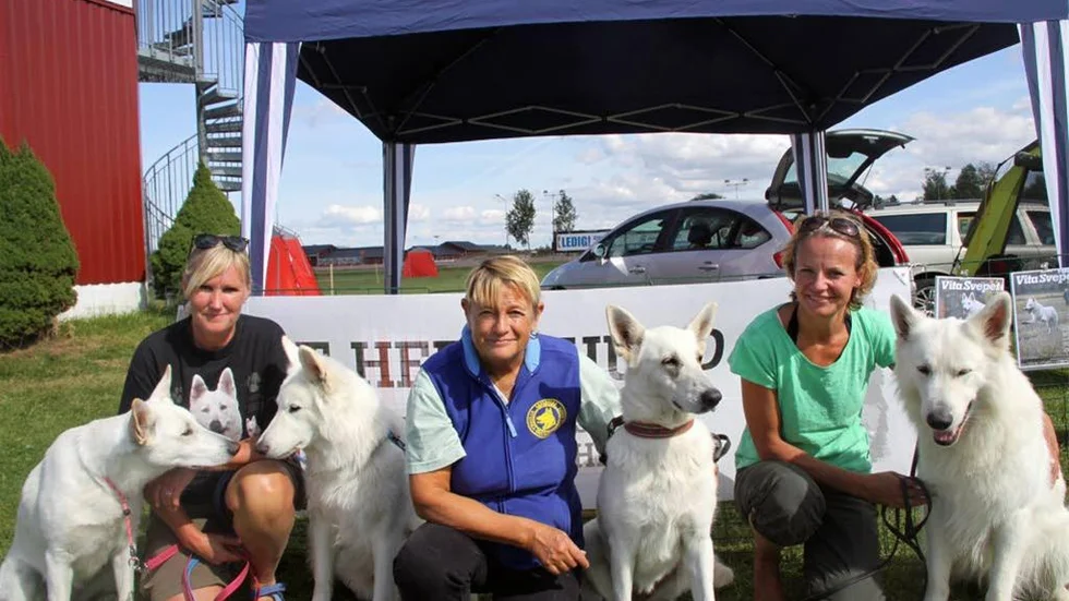 Susanne Edvardsson, Barbro Fransson och Gunilla Andersson  var på SM för att titta på tävlingarna tillsammans med sina hundar.