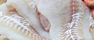Laga fina fisken med färsk torsk