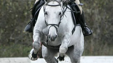 Emelie Sandberg vann helgens enda 1.30-hoppning...