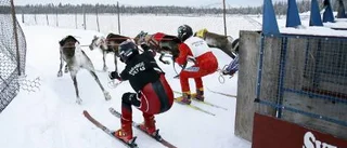 Fullt drag i renflocken