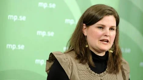 Miljöpartiets Mikaela Valtersson tycker att regeringen är "vilse i pannkakan".