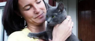 Vem saknar en grafitgrå katt?