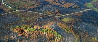 Två år efter branden - nu återvänder livet