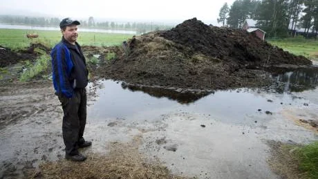 Här är gödselhögen som miljödomstolen kräver att Roger Larsson ska bygga in för 1,6 miljoner kronor. Det kan göra så att han får stänga lantbruket. FOTO: Kurt Engström