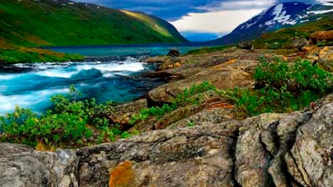 Foto; Michael Henningsson.