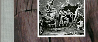 NY BOK: Bastufrid ska råda