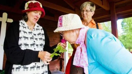 Carita Högdahl luktar på rosen som Gunnel Sandkvist lämnat in under rosinventeringen. Till vänster står inventeraren Mariana Mattsson. FOTO: Jonas Lindsköld