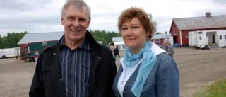 Den stora travfesten