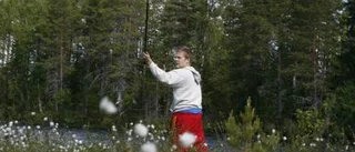 Abborrjakten i Jänkisjärvi