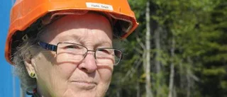 Fylking ger järnet