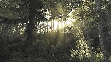 Naturgödsling av skogen ska bidra till ökad skogsproduktion och ökad bindning av koldioxid.