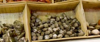 Drömmen om restaurangen blev sann - nu väntar han på Kalix löjrom
