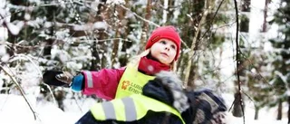 Hjälten som tar barnen till magiska skogen