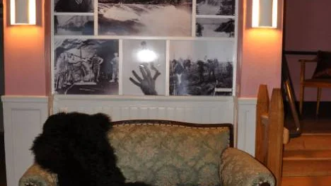 En soffa från England tillhör den till stor del antika inredningen i hotellet. Den kan gästerna sitta i och sedan köpa med sig om de vill.FOTO: Maria Ödalen