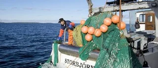 "Varje morgon - ett äventyr"