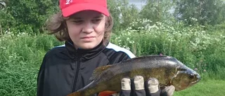 Bildextra: Se de tävlande fiskarna