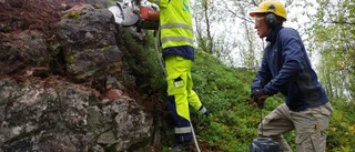 De vill förstå hur landet hamnade där det ligger