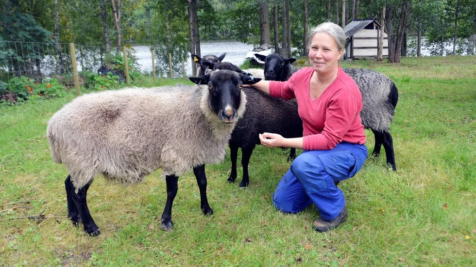 Skygga och rädda. Efter besöken i hagen var Katarina Brandts får uppskrämda. ”Varför kan inte djur få lämnas i fred?”, manar hon.