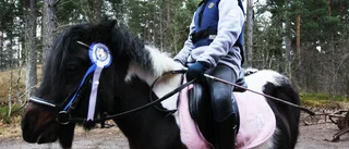 Uppskattat med julklappshoppning