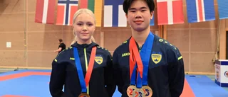 Katrineholmare briljerade i karate