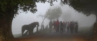 Nödvändig guide till pilgrimsvandring