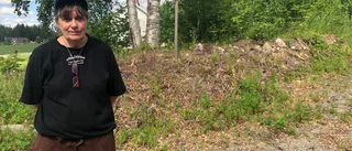 Lupinerna på tomten slets bort av okända