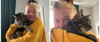 Emmahs katt försvann – hittades i soffa utanför Flen