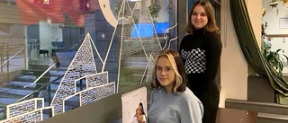 Gymnasieelever skapade kulturellt julfönster