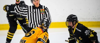 Luleå Hockey förnedrade AIK – så var matchen
