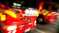 Gräsbrand spred sig till skogen 