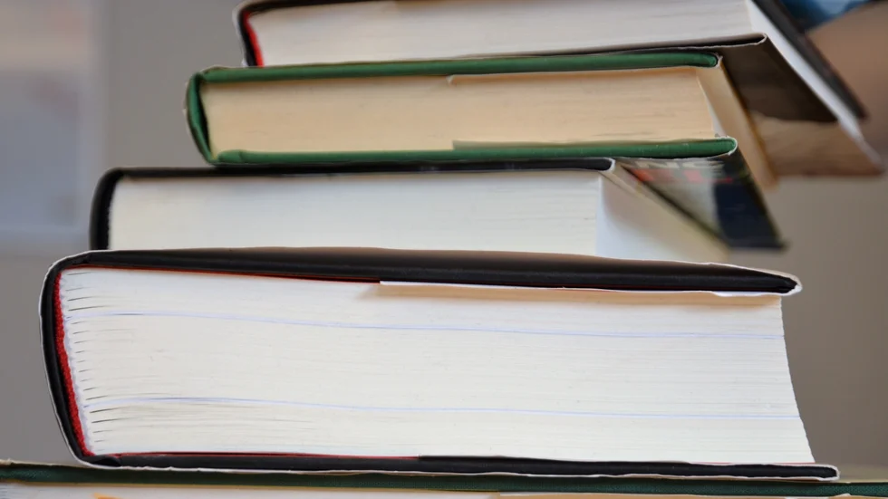 Almedalsbiblioteket har begränsad möjlighet att låna ut böcker. 