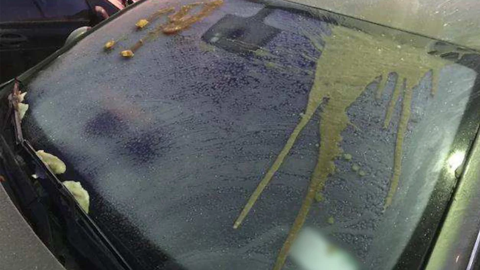 Kvinnan anklagas bland annat för att ha vandaliserat mannens bil.