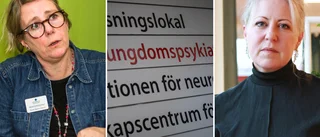 Köerna till BUP skulle bort inom ett år – så gick det