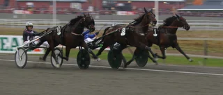 Stjärnorna dominerade i Skellefteås V75