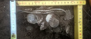Silverskatt hittad i kaninhål på Gotland