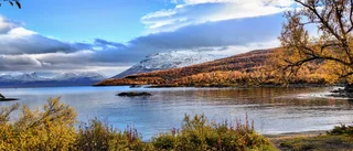 Ökad turism ställer nya krav på trafiken i Abisko