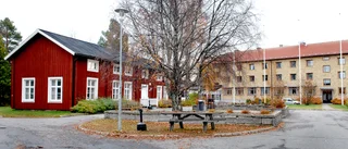 Folkhögskolan viktig för framtidens utmaningar 