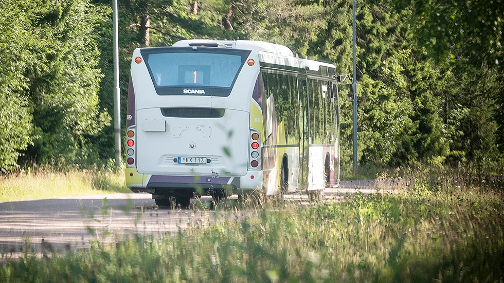Busslinje 1 går nattetid under sommaren.