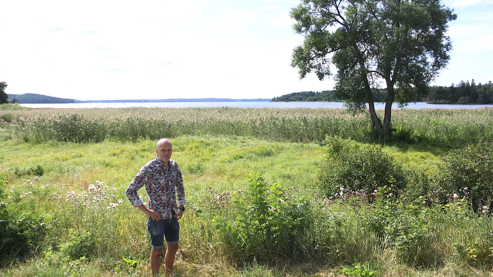 Vid Vårdsätraviken, nära Föreningsgården Ekolsnäs,  växer i dag ett hav av vass. Om några år kommer det vara borta och ersatt av en sandstrand och bryggor, berättar Rickard Malmström (MP).
