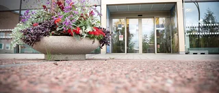 Skellefteå kommuns budget presenteras – här är satsningarna de kommande åren