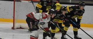BETYGEN: De var bäst i Vimmerby Hockey