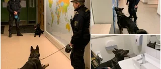 Här gör polisen knarkräd i skola – fler insatser väntar