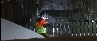Skadad älg skjuten vid förskola 
