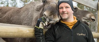 Cape wild känner av effekterna av coronakrisen