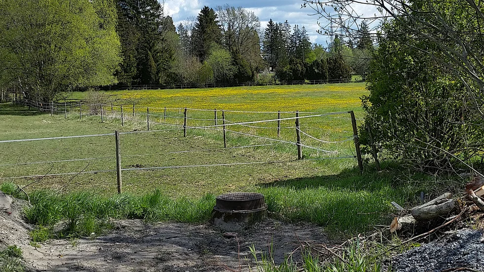  I det gamla arrendeavtalet mellan Enköpings kommun och Enköpings brukshundklubb finns det inte reglerat att kommunen ska försörja brukshundklubben med vatten, skriver Patrik Holm.