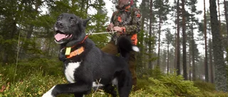 Värna det lokala viltvårdandet