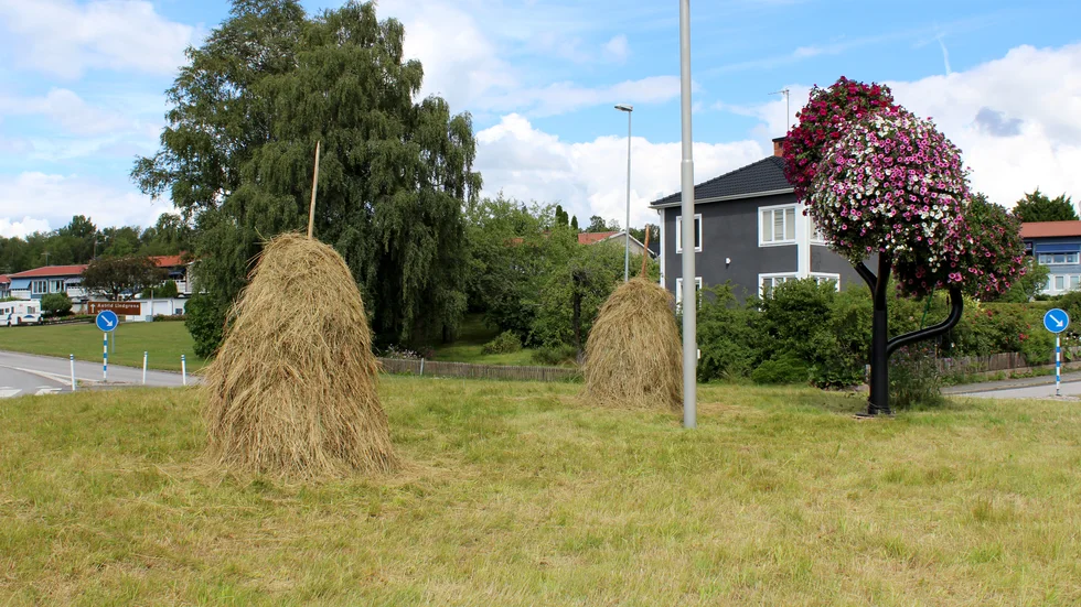 Vid rondellen på Lundgatan finns två hökrakar. 